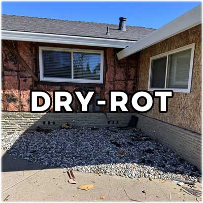 full-dry-rot-repair-experts-united-home-renovation